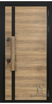 Входная дверь Regidoors ROYAL NORD MOTTURA Nova, цвет антрацит
