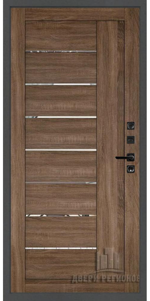 Входная дверь Regidoors Президент Лайн ТИТАН LIGHT 2110 с зеркалом Входная дверь Regidoors Президент Лайн ТИТАН LIGHT 2110 с зеркалом
