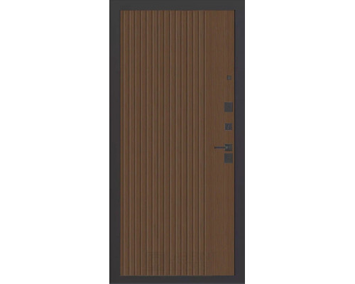 Входная дверь Labirint CARBON 29 Хомс в цвете 