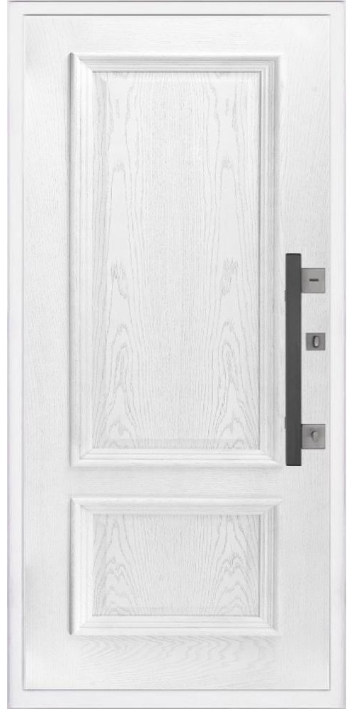Входная дверь Regidoors NORD NEW Корсика Входная дверь Regidoors NORD NEW Корсика
