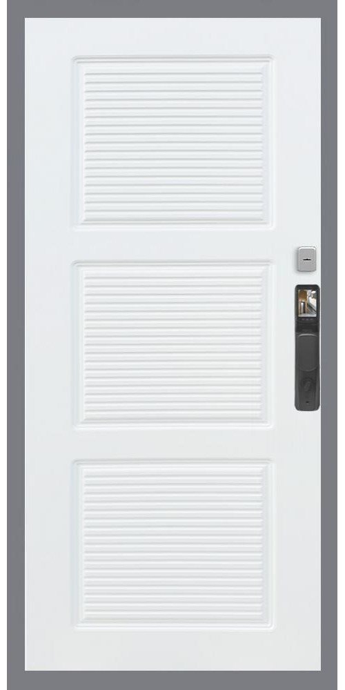 Входная дверь Гранд 24 Face ID ФЛ-1 в цвете Входная дверь Гранд 24 Face ID ФЛ-1 в цвете