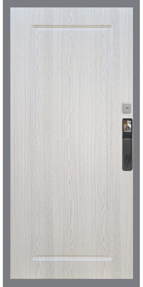 Входная дверь Гранд 24 Face ID ФЛ-119 в цвете Входная дверь Гранд 24 Face ID ФЛ-119 в цвете