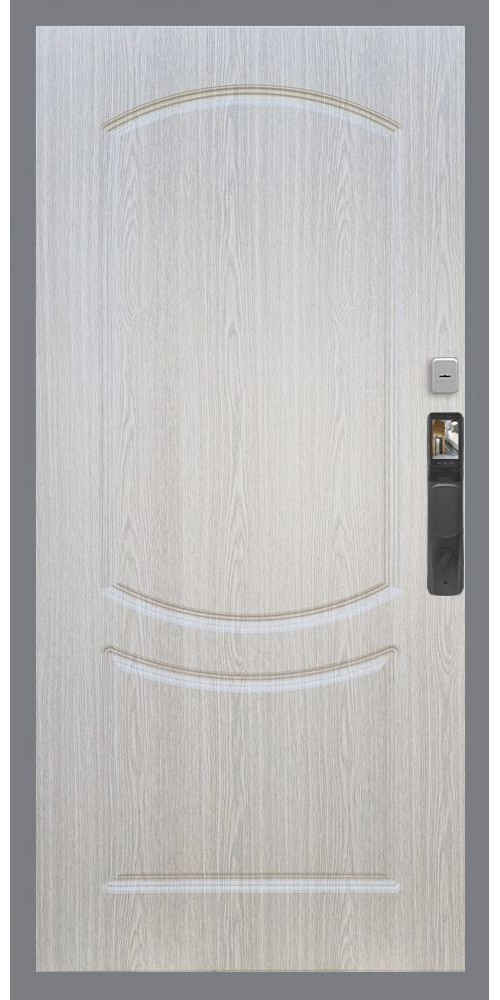 Входная дверь Гранд 24 Face ID ФЛ-123 в цвете Входная дверь Гранд 24 Face ID ФЛ-123 в цвете