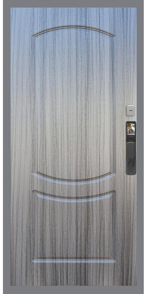Входная дверь Гранд 24 Face ID ФЛ-123 в цвете Входная дверь Гранд 24 Face ID ФЛ-123 в цвете