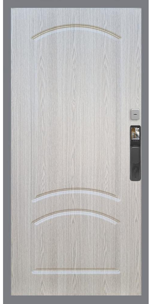 Входная дверь Гранд 24 Face ID ФЛ-126 в цвете Входная дверь Гранд 24 Face ID ФЛ-126 в цвете