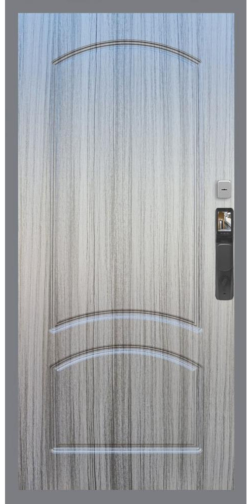 Входная дверь Гранд 24 Face ID ФЛ-126 в цвете Входная дверь Гранд 24 Face ID ФЛ-126 в цвете