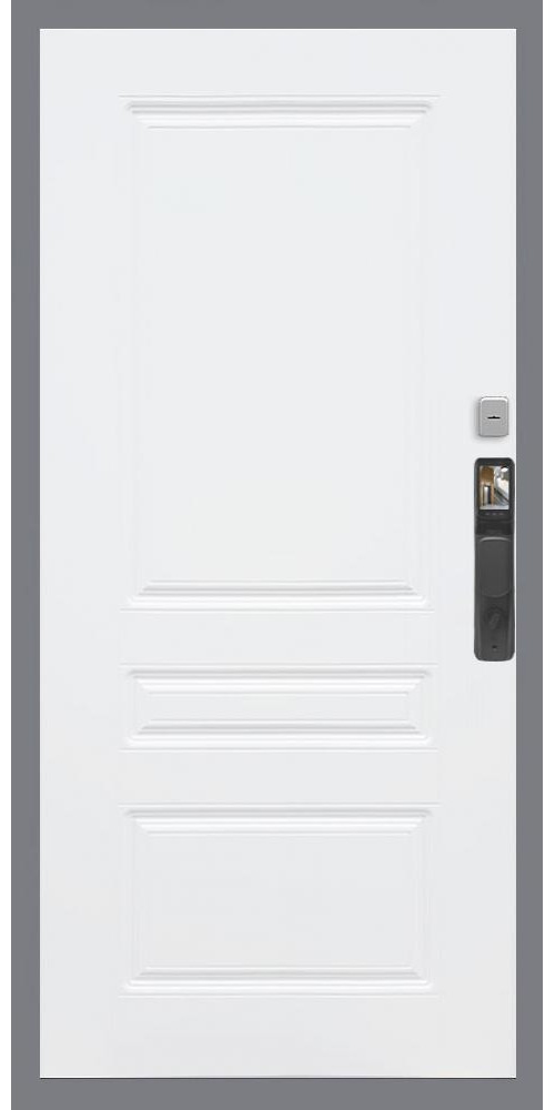 Входная дверь Гранд 24 Face ID ФЛ-243 в цвете Входная дверь Гранд 24 Face ID ФЛ-243 в цвете