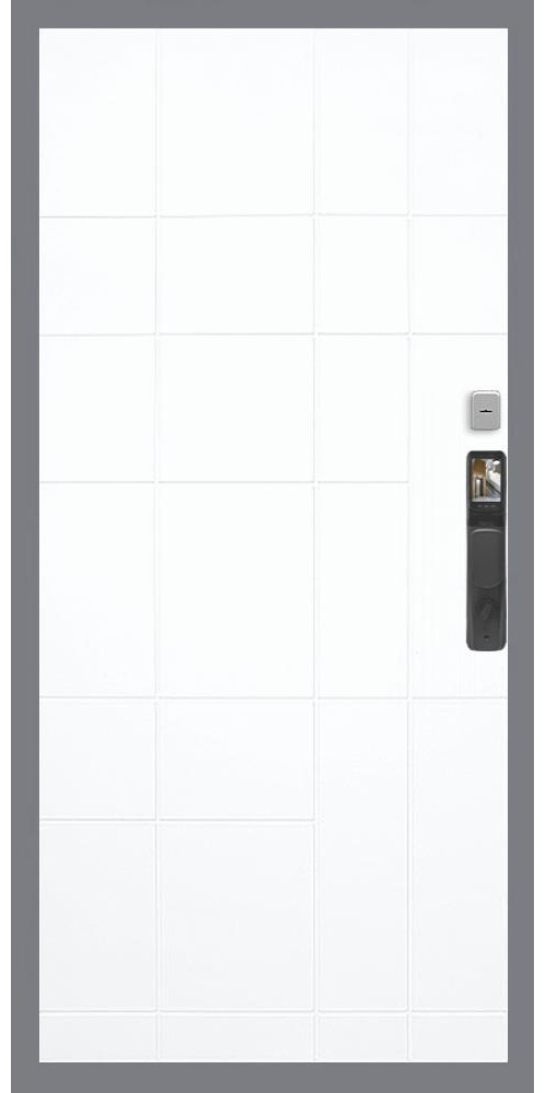 Входная дверь Гранд 24 Face ID ФЛ-299 в цвете Входная дверь Гранд 24 Face ID ФЛ-299 в цвете