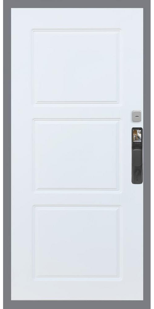 Входная дверь Гранд 24 Face ID ФЛ-3 в цвете Входная дверь Гранд 24 Face ID ФЛ-3 в цвете