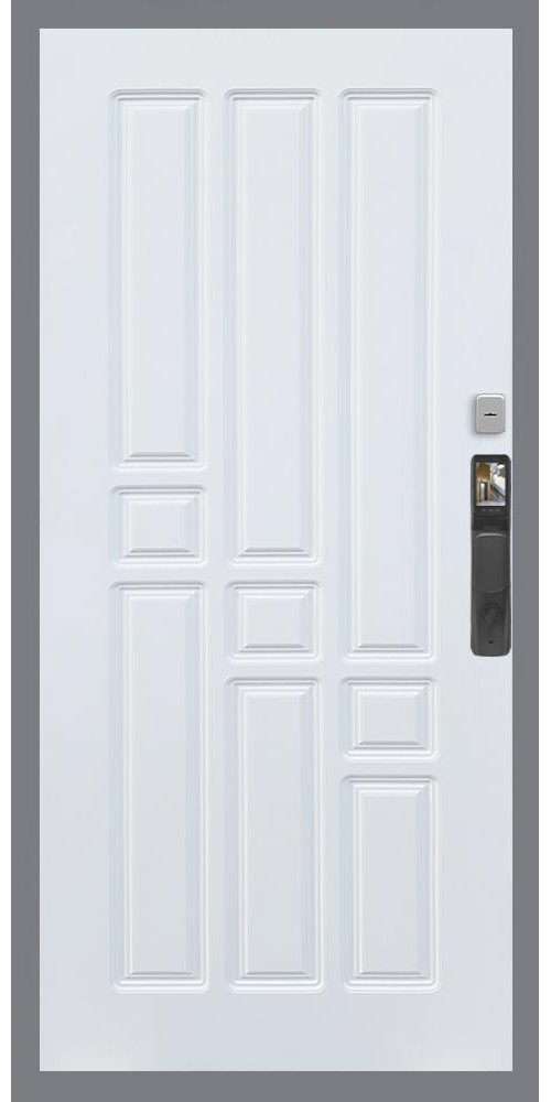 Входная дверь Гранд 24 Face ID ФЛ-31 в цвете Входная дверь Гранд 24 Face ID ФЛ-31 в цвете