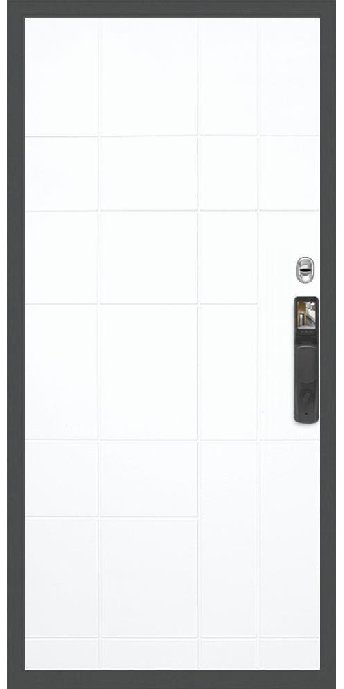 Входная дверь Гранд 13 Face ID ФЛ-299 в цвете Входная дверь Гранд 13 Face ID ФЛ-299 в цвете