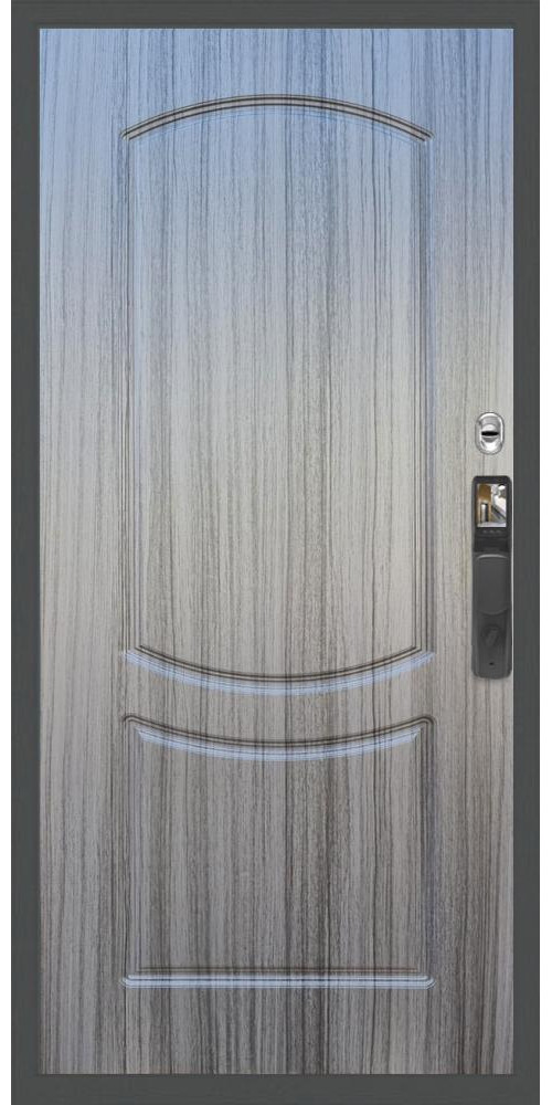 Входная дверь Гранд 20 Face ID ФЛ-123 в цвете Входная дверь Гранд 20 Face ID ФЛ-123 в цвете