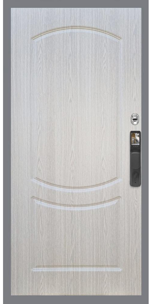 Входная дверь Гранд 22 Face ID ФЛ-123 в цвете 