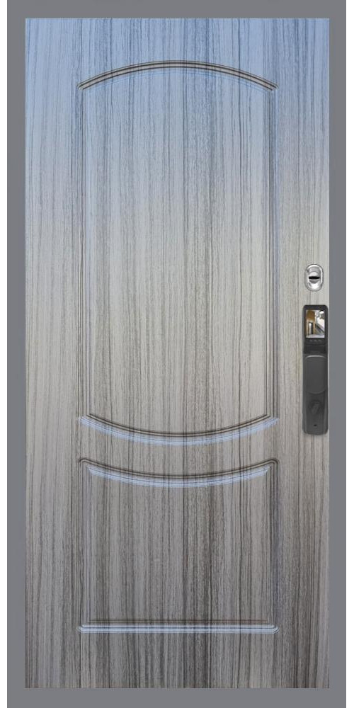 Входная дверь Гранд 22 Face ID ФЛ-123 в цвете Входная дверь Гранд 22 Face ID ФЛ-123 в цвете