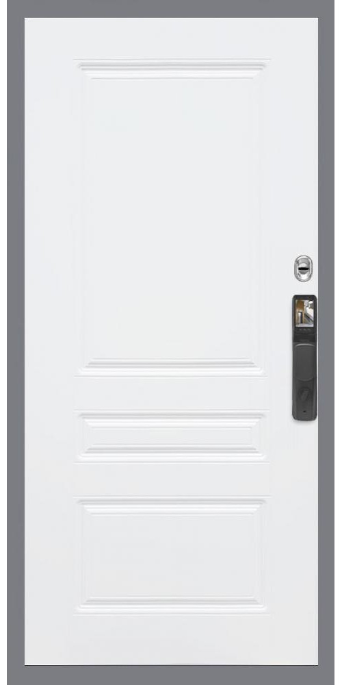 Входная дверь Гранд 22 Face ID ФЛ-243 в цвете 