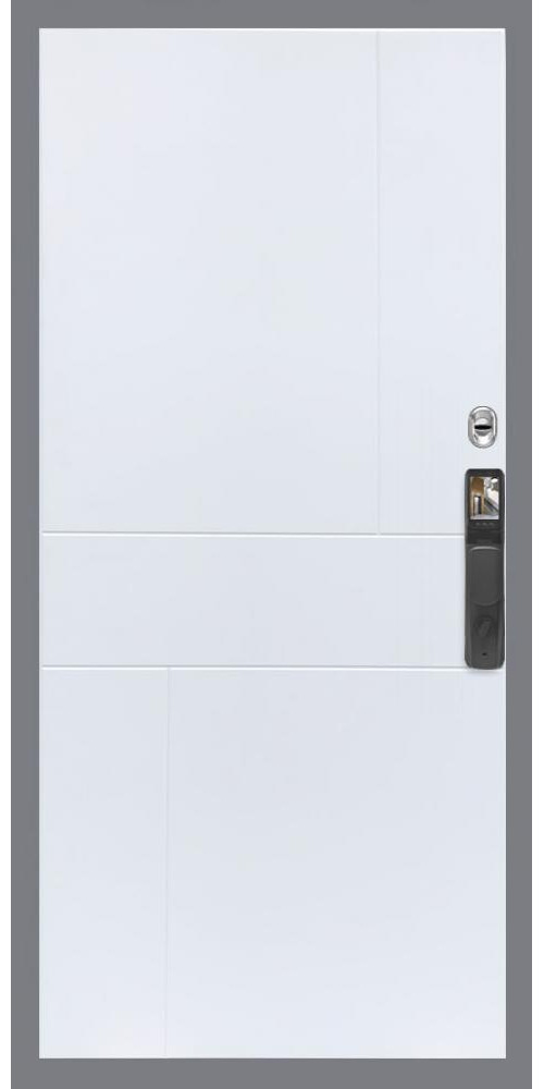 Входная дверь Гранд 22 Face ID ФЛ-290 в цвете Входная дверь Гранд 22 Face ID ФЛ-290 в цвете