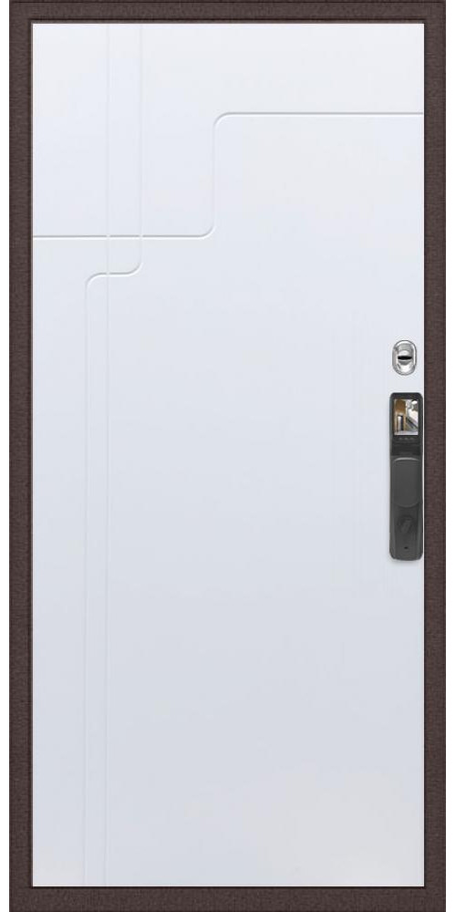 Входная дверь Практик Strong Face ID ФЛ-246 в цвете Входная дверь Практик Strong Face ID ФЛ-246 в цвете