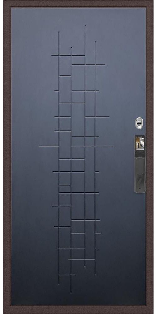 Входная дверь Практик Strong Face ID ФЛ-289 в цвете Входная дверь Практик Strong Face ID ФЛ-289 в цвете