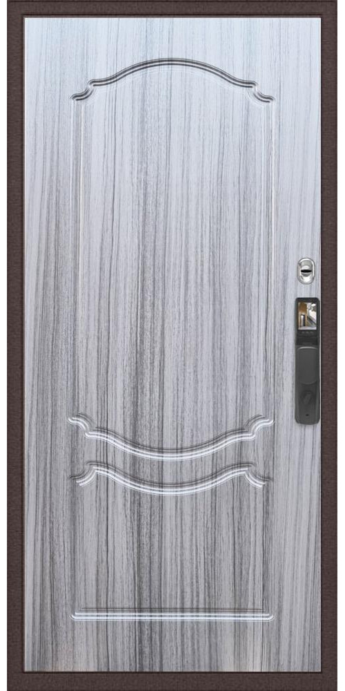 Входная дверь Практик Strong Face ID ФЛ-130, цвет Входная дверь Практик Strong Face ID ФЛ-130, цвет
