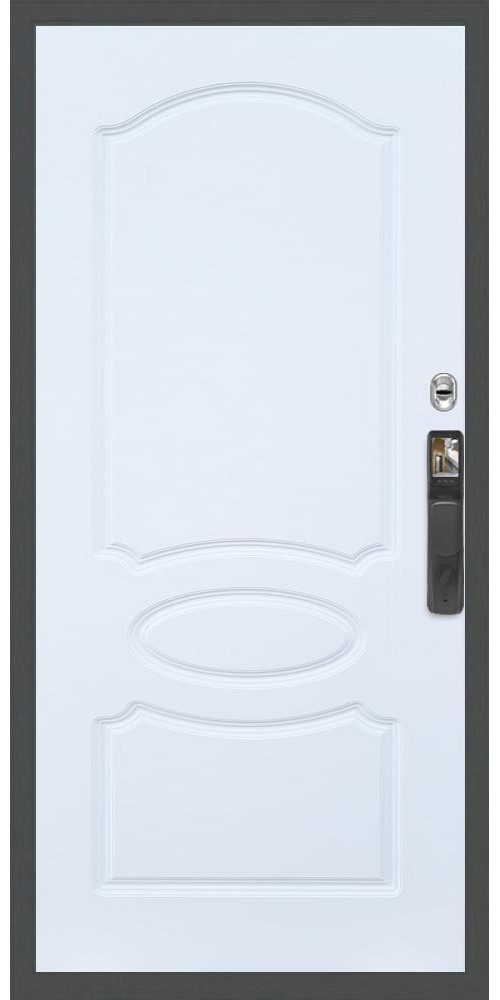 Входная дверь Гранд 20 Face ID ФЛ-128 в цвете Входная дверь Гранд 20 Face ID ФЛ-128 в цвете