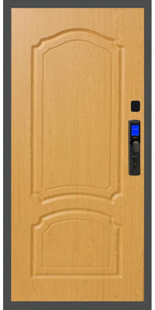 Входная дверь Баяр M2055 Face ID ФЛ-140 Входная дверь Баяр M2055 Face ID ФЛ-140