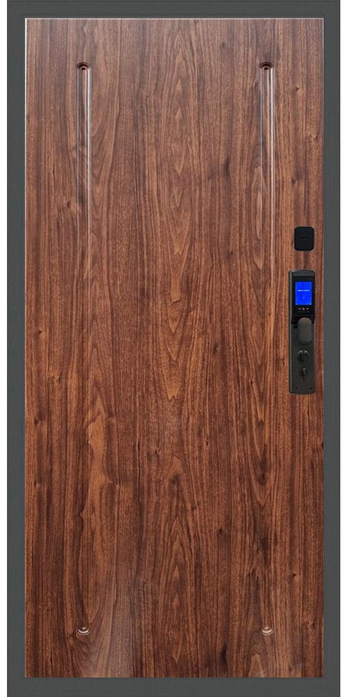 Входная дверь Баяр M2055 Face ID ФЛ-68 в цвете 