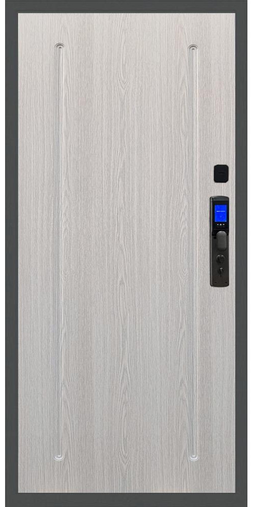 Входная дверь Баяр M2055 Face ID ФЛ-68 в цвете 