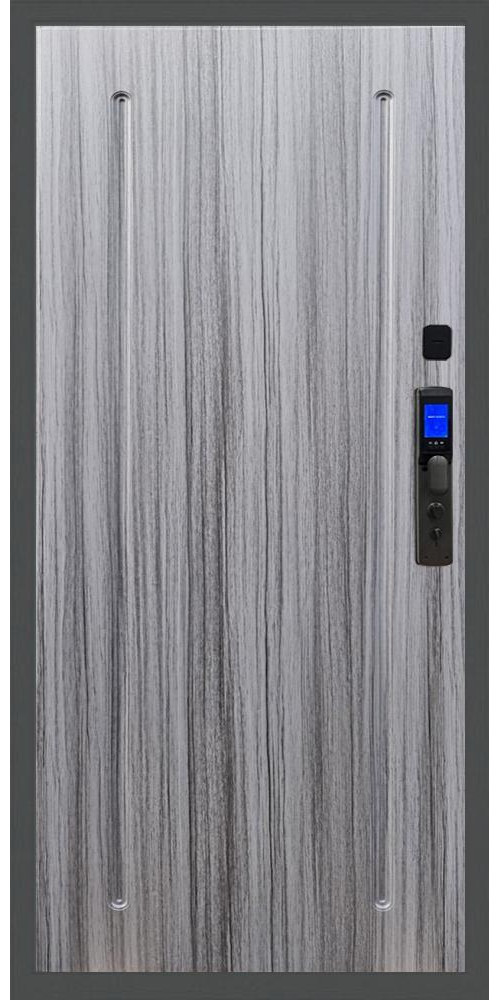 Входная дверь Баяр M2055 Face ID ФЛ-68, цвет 