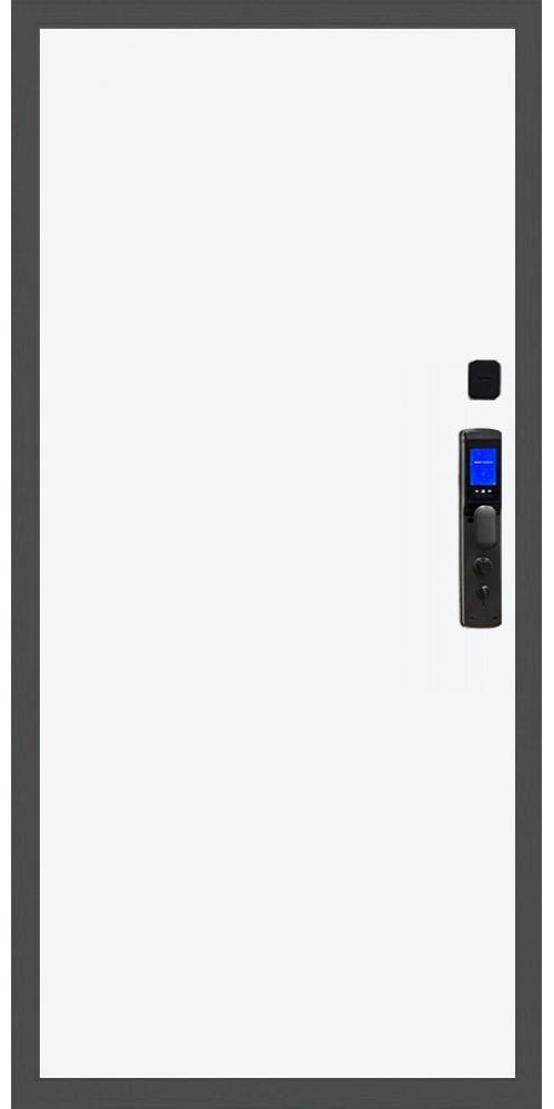 Входная дверь Баяр M2055 Face ID гладкая, цвет Входная дверь Баяр M2055 Face ID гладкая, цвет