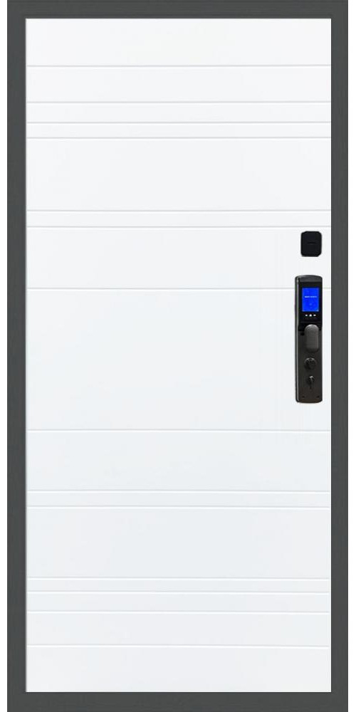 Входная дверь Баяр M2055 Face ID Line в цвете Входная дверь Баяр M2055 Face ID Line в цвете