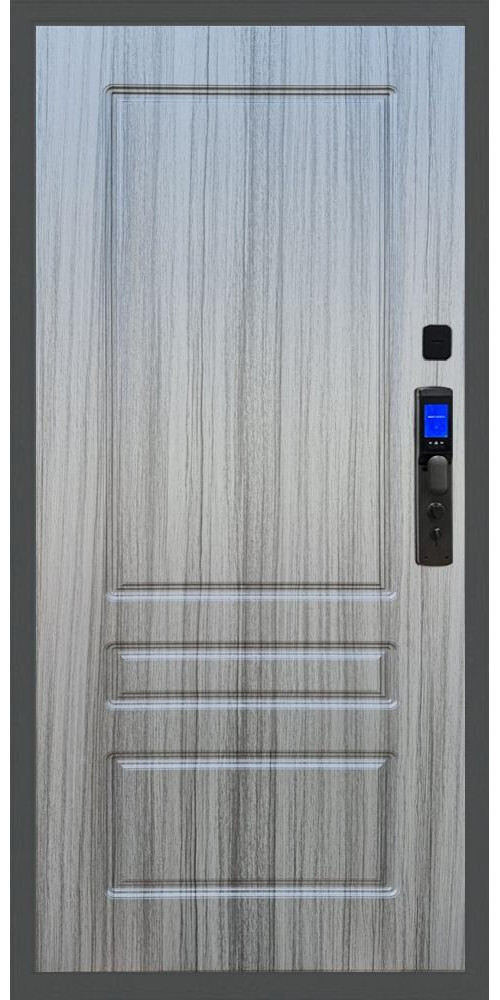 Входная дверь Баяр M2055 Face ID ФЛ-116 в цвете 