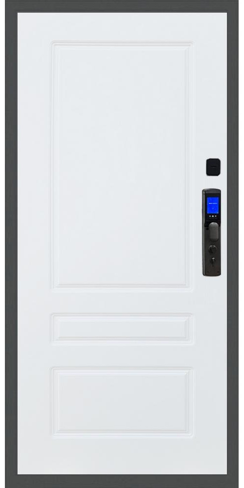 Входная дверь Баяр M2055 Face ID ФЛ-116 в цвете 