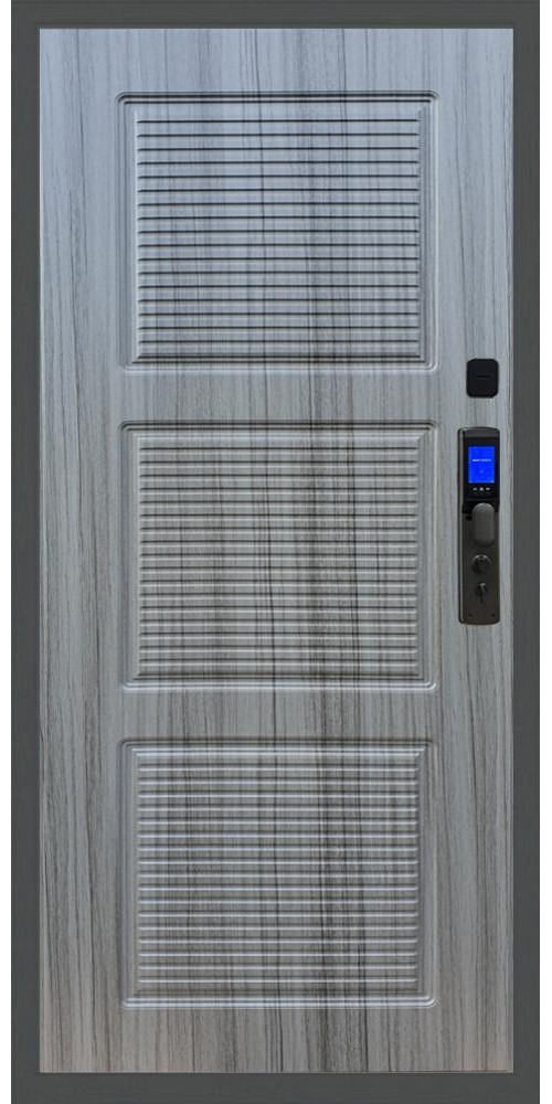 Входная дверь Баяр M2055 Face ID ФЛ-1, цвет Входная дверь Баяр M2055 Face ID ФЛ-1, цвет
