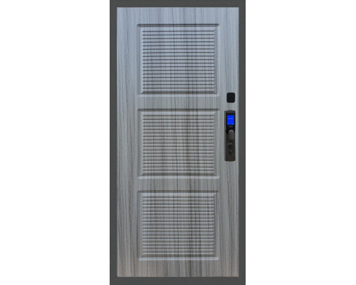 Входная дверь Баяр M2055 Face ID ФЛ-1, цвет 
