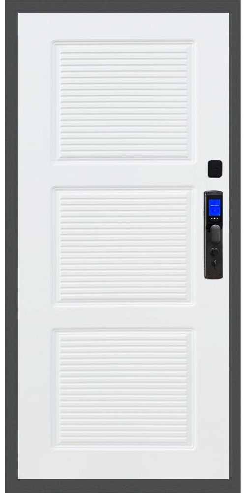 Входная дверь Баяр M2055 Face ID ФЛ-1 в цвете Входная дверь Баяр M2055 Face ID ФЛ-1 в цвете