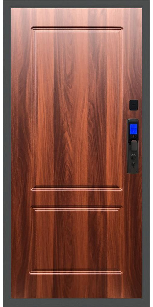 Входная дверь Баяр M2055 Face ID ФЛ-117 в цвете 
