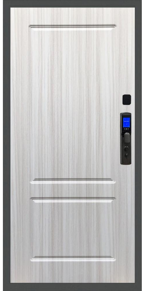 Входная дверь Баяр M2055 Face ID во фл-117, цвет Входная дверь Баяр M2055 Face ID во фл-117, цвет