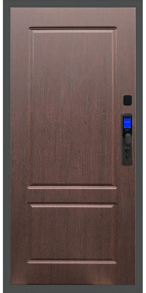 Входная дверь Баяр M2055 Face ID ФЛ-117 в цвете Входная дверь Баяр M2055 Face ID ФЛ-117 в цвете