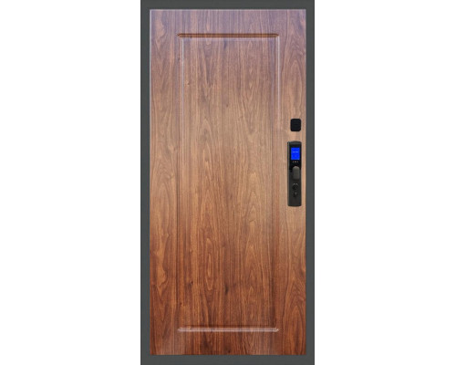 Входная дверь Баяр M2055 Face ID ФЛ-119, цвет 