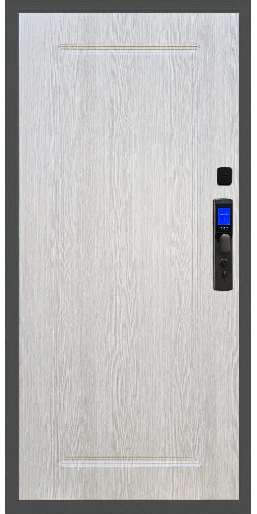 Входная дверь Баяр M2055 Face ID ФЛ-119 в цвете 