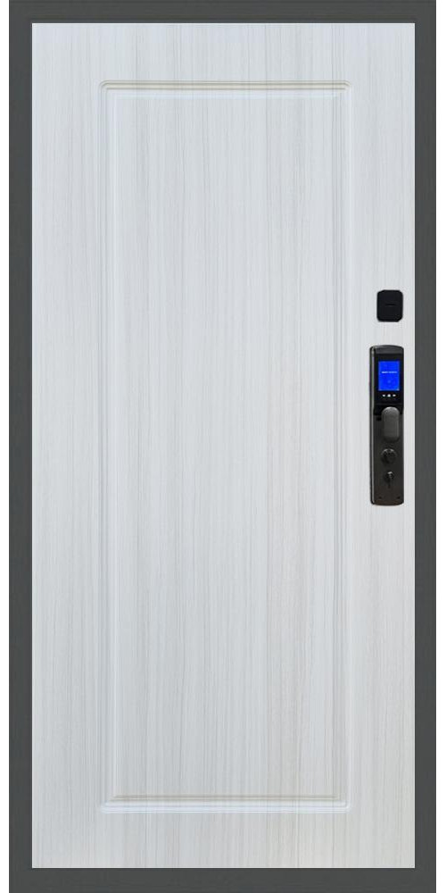 Входная дверь Баяр M2055 Face ID ФЛ-119 в цвете 