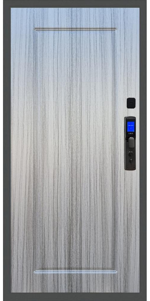 Входная дверь Баяр M2055 Face ID ФЛ-119, цвет Входная дверь Баяр M2055 Face ID ФЛ-119, цвет