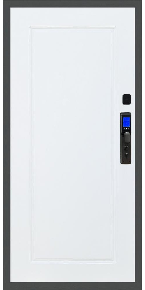Входная дверь Баяр M2055 Face ID ФЛ-119 в цвете Входная дверь Баяр M2055 Face ID ФЛ-119 в цвете