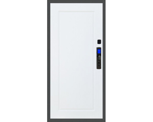 Входная дверь Баяр M2055 Face ID ФЛ-119 в цвете Входная дверь Баяр M2055 Face ID ФЛ-119 в цвете