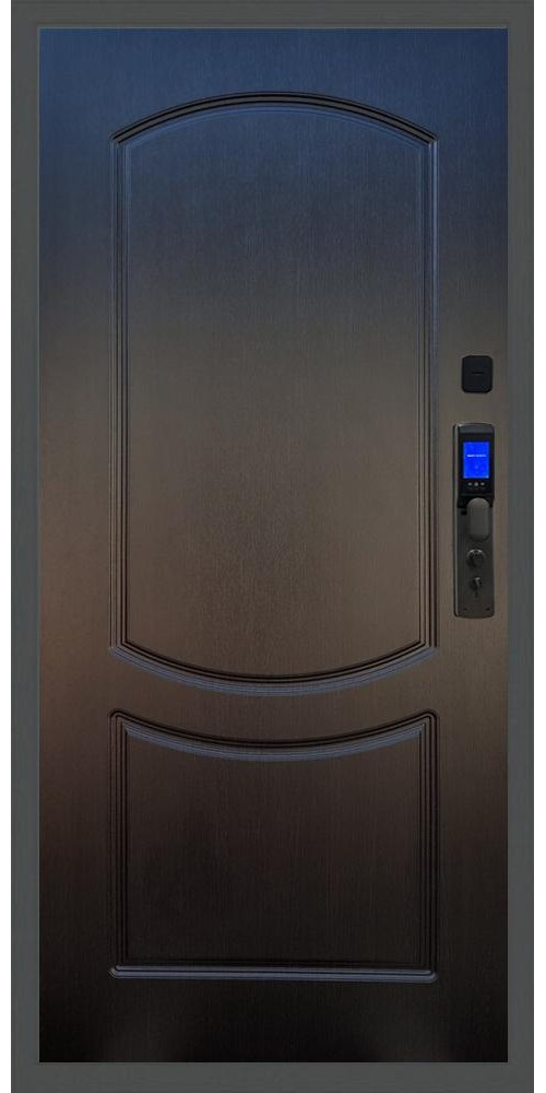 Входная дверь Баяр M2055 Face ID ФЛ-123 в цвете Венге
