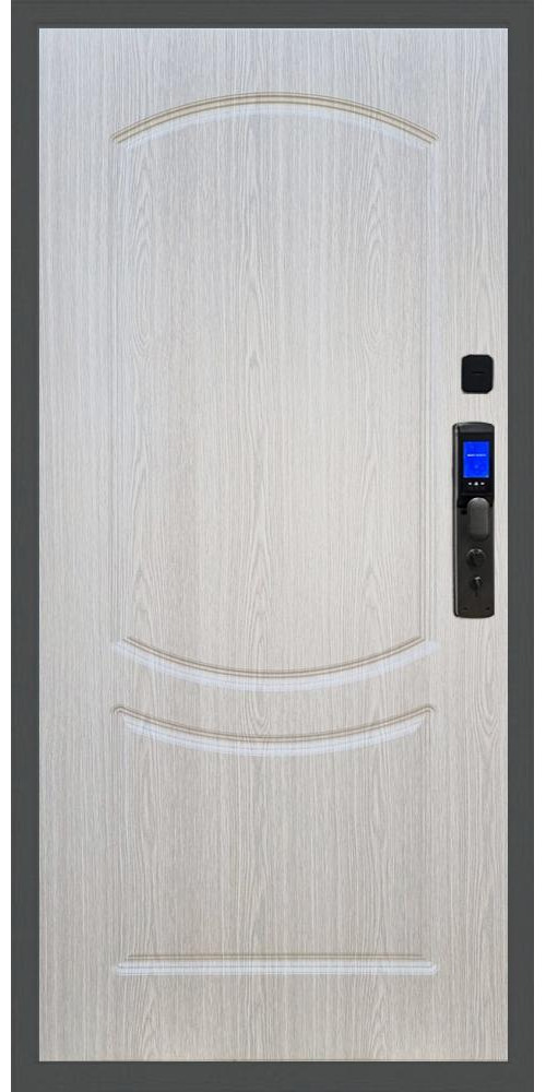 Входная дверь Баяр M2055 Face ID ФЛ-123 в цвете Входная дверь Баяр M2055 Face ID ФЛ-123 в цвете