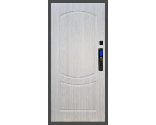 Входная дверь Баяр M2055 Face ID ФЛ-123 в цвете Входная дверь Баяр M2055 Face ID ФЛ-123 в цвете