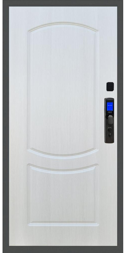 Входная дверь Баяр M2055 Face ID ФЛ-123, цвет Входная дверь Баяр M2055 Face ID ФЛ-123, цвет