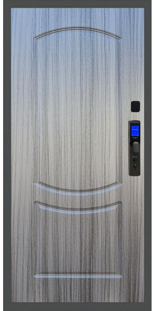 Входная дверь Баяр M2055 Face ID ФЛ-123 в цвете Входная дверь Баяр M2055 Face ID ФЛ-123 в цвете