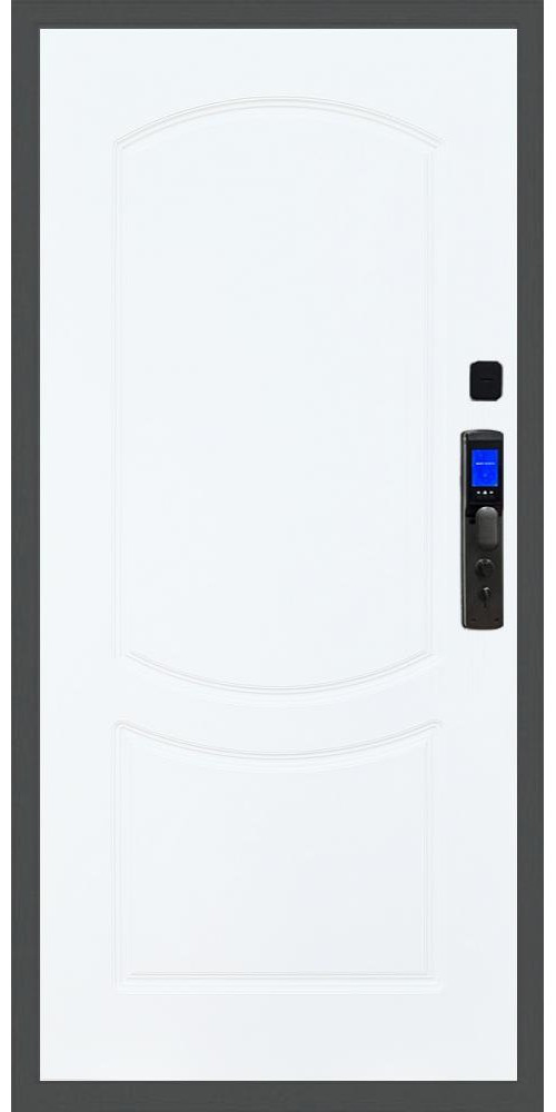 Входная дверь Баяр M2055 Face ID ФЛ-123, цвет 
